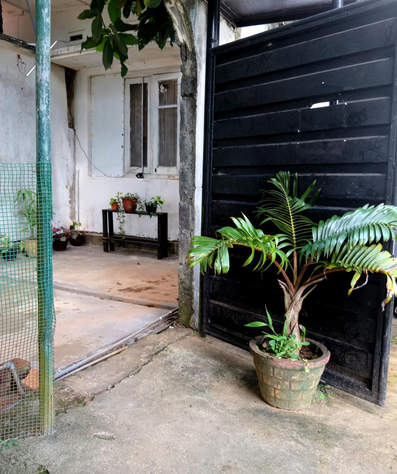 Fly Infinity - Home Stay Kandy Exterior foto